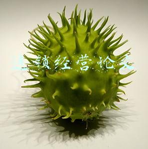 连锁经营论文