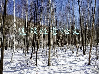 连锁经营论文