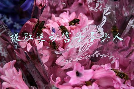 长时间提肛运动害了多少人(「健康」锻炼可能会让你加速衰老！这6种方式我劝你放弃)