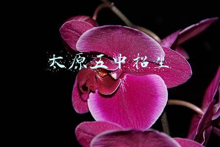 太原五中招生办电话(2021小升初参考！太原五中、10中等多所学校招生简章汇总)