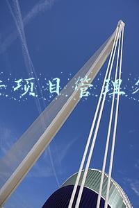 软件项目管理答案