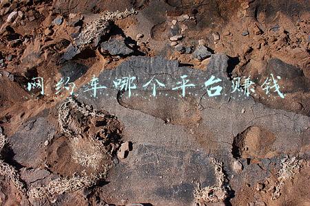 私家车跑网约车哪个平台最赚钱(网约车能赚钱吗？怎么选车选平台？)