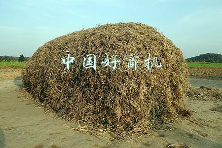 中国好商机节目(《2021中国好声音》完美收官，国民IP迭代升级见证华语音乐涅槃)