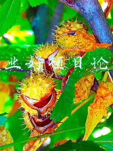 创业好项目论坛
