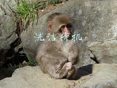洗洁精机箱(2020电脑主机回忆录，这些非主流电脑，让人羡慕)