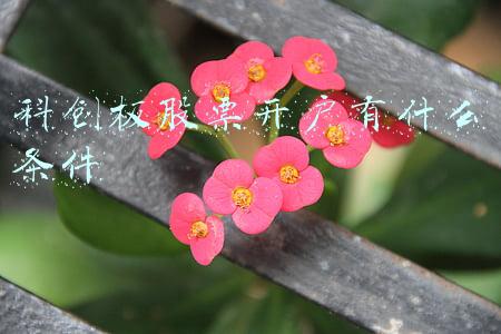 科创板股票开户有什么条件