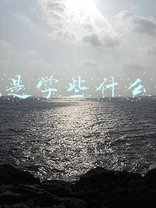 编程是学些什么东西
