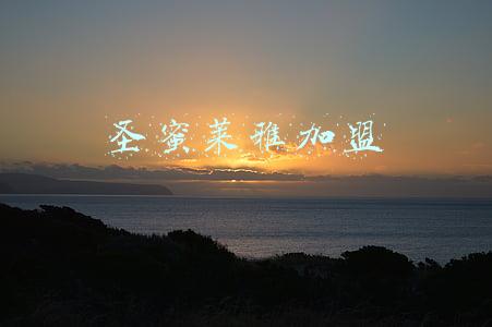 圣蜜莱雅加盟官网(专访阳光国际总裁成金波：敢于“拿自己开刀”)