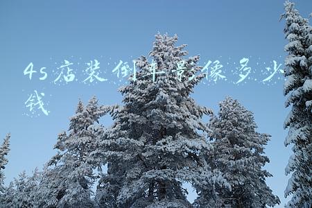 4s店装倒车雷达多少钱:4s店加装倒车影像多少钱