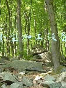 玉米面条小型加工设备(粗粮细作-不加一滴油de低脂玉米面条)