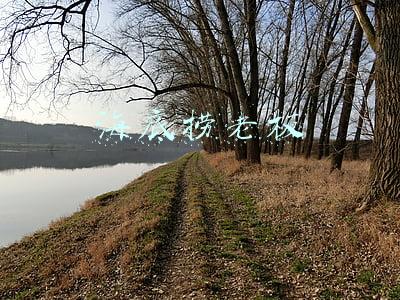 海底捞老板移民新加坡(海底捞净利润暴跌90%，其老板已移民新加坡，身价达2450亿)