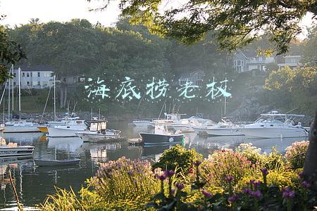 海底捞老板简介(海底捞创始人张勇：从四张桌子到成功上市，成就餐饮界神话)