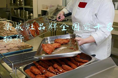 集成灶品牌全国前十名排行榜(集成灶十大品牌：对着榜单买准没错)