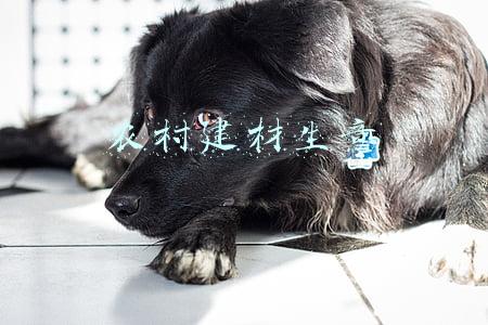建材生意(家居建材生意不景气怎么办？全力以赴破解这四个问题)
