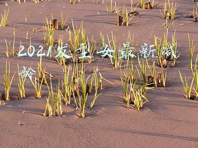 2021发型女最新减龄短发(2021流行5好短发，利落瘦脸好打理，越来越多女性这样剪)