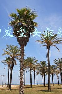 2021发型女最新减龄