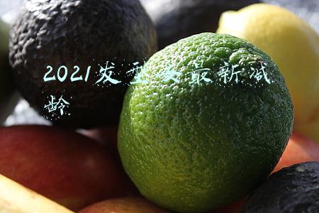 2021发型女最新减龄直发(换个发型=换张脸？2021年秋季最流行的4款短发，完全不挑人)