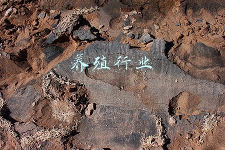 养殖行业分析及市场研究报告(行业集中度较低 2021年中国生猪养殖行业市场竞争格局分析)