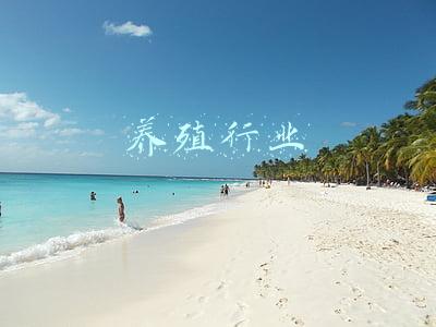 养殖行业养什么最有效益(农村养殖：别养鸡鸭了，三个快速养殖项目都是暴利，你也行)