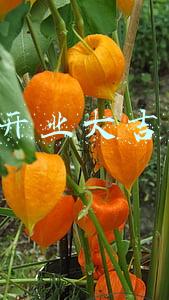 2021开业黄道吉日(2021年装修开工吉日一览表)
