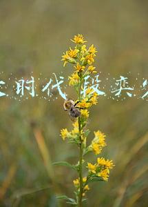 大时代段奕宏的原型人物是谁(没拿到金鸡奖的段奕宏，演技强在哪了？)