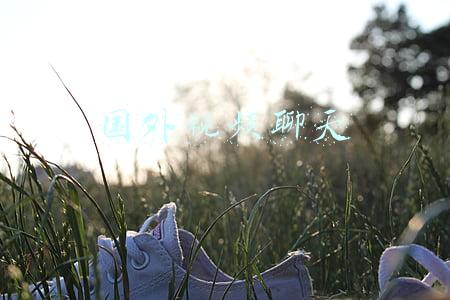 国外视频聊天