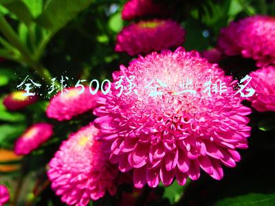 全球500强企业排名