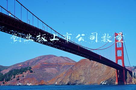 创业板上市公司数量