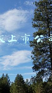创业板上市公司数量今日将达700家(创业板注册制改革践行探路使命 226家上市公司首发募资合计超1748亿元)