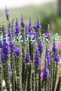 杠杆原理示意图