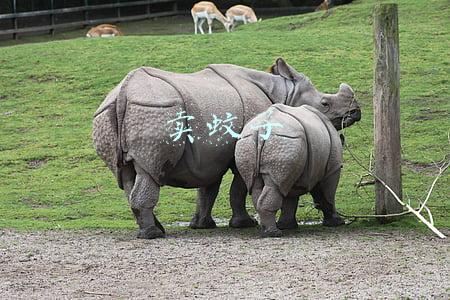 卖蚊子