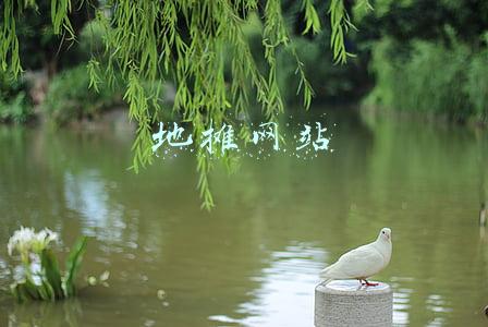 江湖地摊网(藏在上海市区深处的二手货江湖：时光在这儿按下“暂停键”)