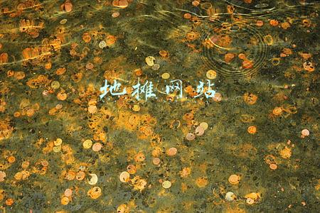 低碳网站(习近平谈能源产业：走绿色低碳发展道路)
