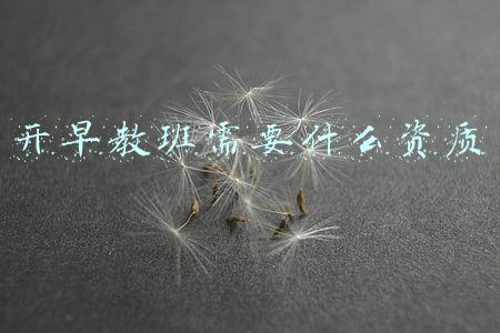 开早教班都需要什么条件(早教师证怎么考报考条件有什么呢要会哪些知识)