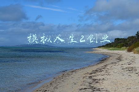 模拟人生2创业中文版下载(周末副刊vol.11｜同样是娱乐圈，好莱坞是怎么玩金钱游戏的？)