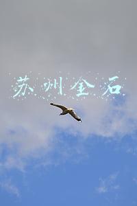 苏州金石