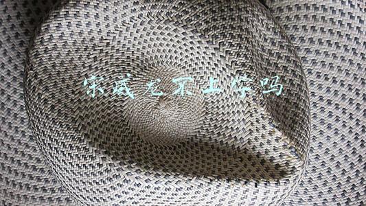 宋威龙毕业于什么学校(9岁入少林寺，母亲害怕他被抢走，请大汉保护，宋威龙别样成长记)