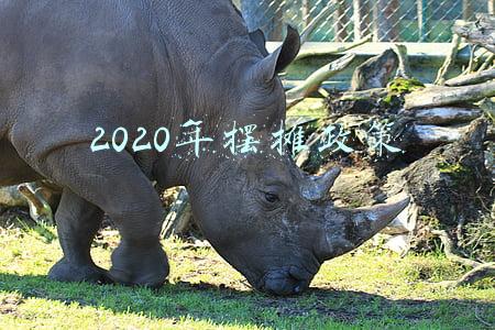 2020年摆摊政策昆明(昆明引摊入市实施意见来了！这62条城市道路禁止摆摊)
