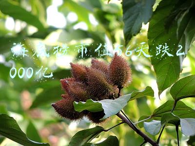 海底捞上市市值多少(海底捞港交所上市：市值突破120亿美元 创始人张勇已改国籍)