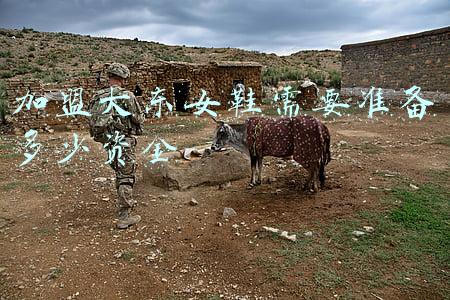 大东女鞋加盟费多少钱(他是低调又变态的鞋界下沉之王，吊打电商，靠39元女鞋年入50亿)
