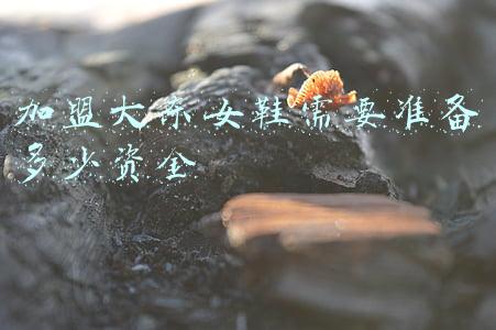大东女鞋官网加盟(卖69块的鞋子请baby代言大东逆势开店3000家就靠这两点)