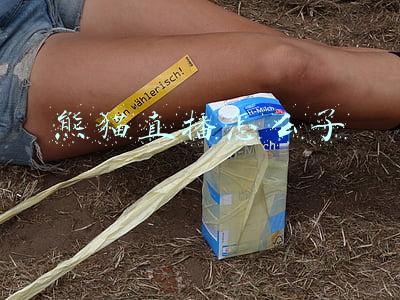 熊猫直播百度百科(“云吸猫”新渠道！“熊猫直播”登陆 封面新闻学习强国号再升级)