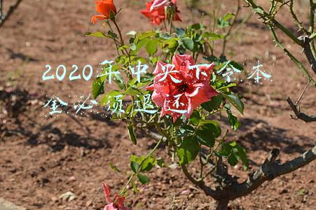 2020年中央下令本金必须退还有智天吗(高回报的“股权投资”骗你没商量，如何防骗是你要知道的)