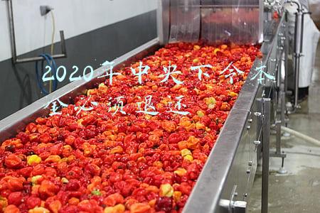2020年中央下令本金必须退还日益盛(市场监管总局公布反不正当竞争执法典型案例 将严打“刷单炒信”等行为)