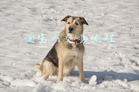 淘宝网交易流程