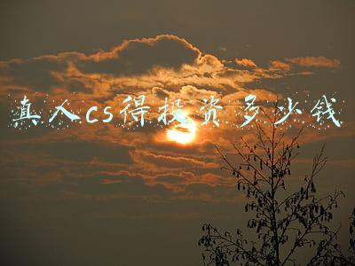 真人cs得投资多少钱
