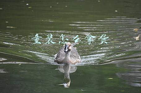童装怎么拿货便宜(童装进货都有哪些技巧呢？如何才能找到好货源？)