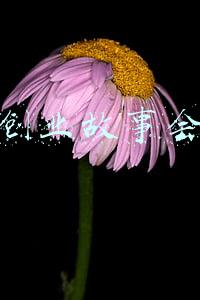 创业故事会