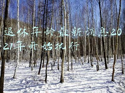 退休年龄最新消息2021年开始执行表(2021年退休年龄新政策)