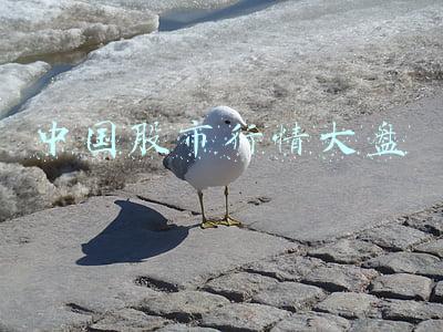 中国股市行情大盘